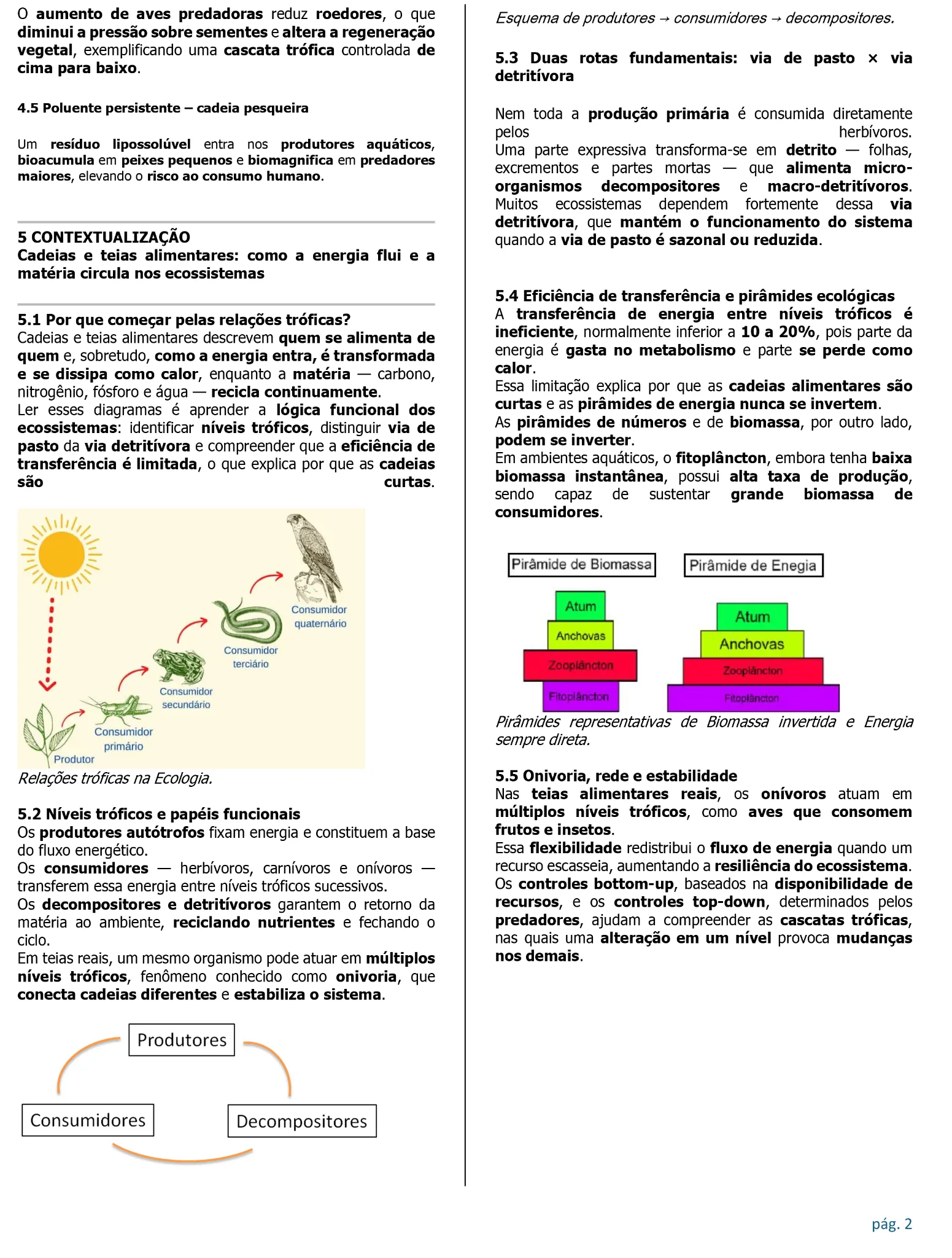 Página de Biologia com conteúdo de ecologia e cadeias alimentares